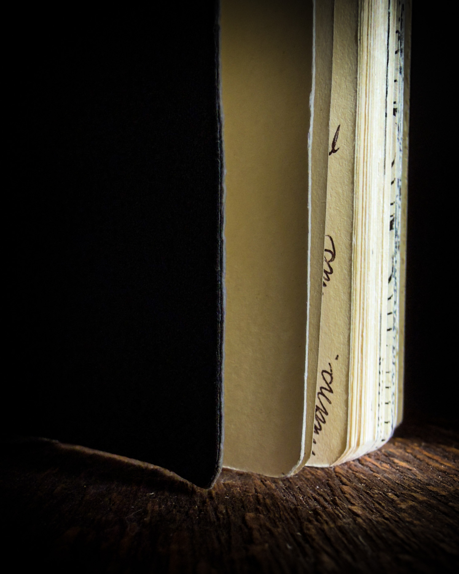Standing pocket notebook detail Close-up of a partially open pocket notebook standing upright, with light revealing the pages and a hint of a rustic wooden surface beneath.
