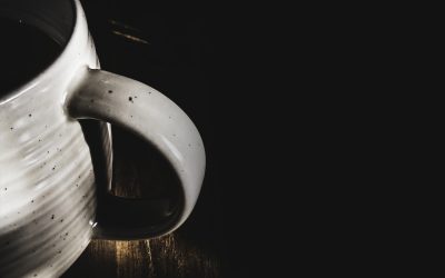 Warm Morning Light Returns