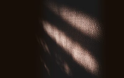 Where the Light Falls