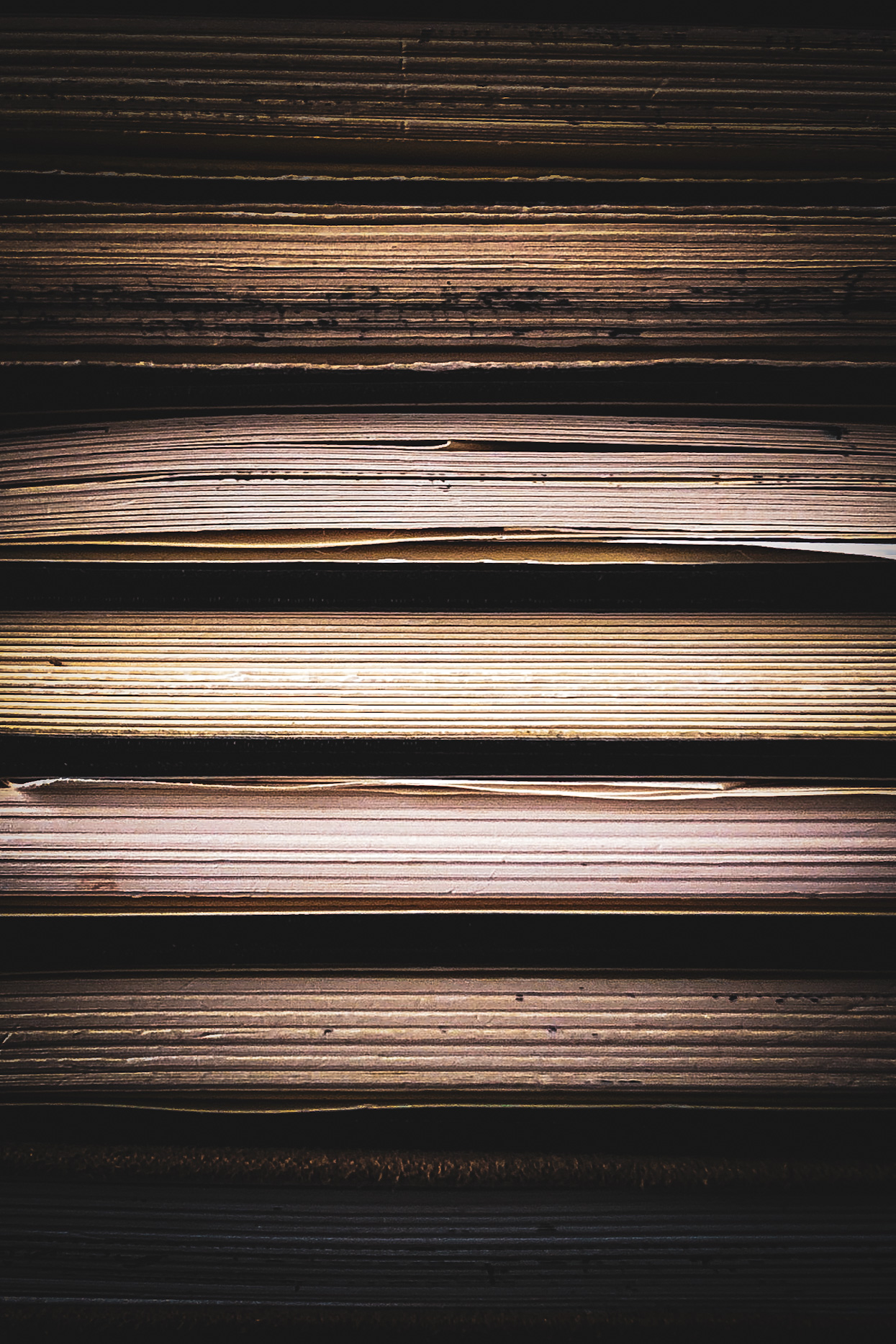 Close-up of a walnut in warm light and shadow with a softly blurred basket in the background.
