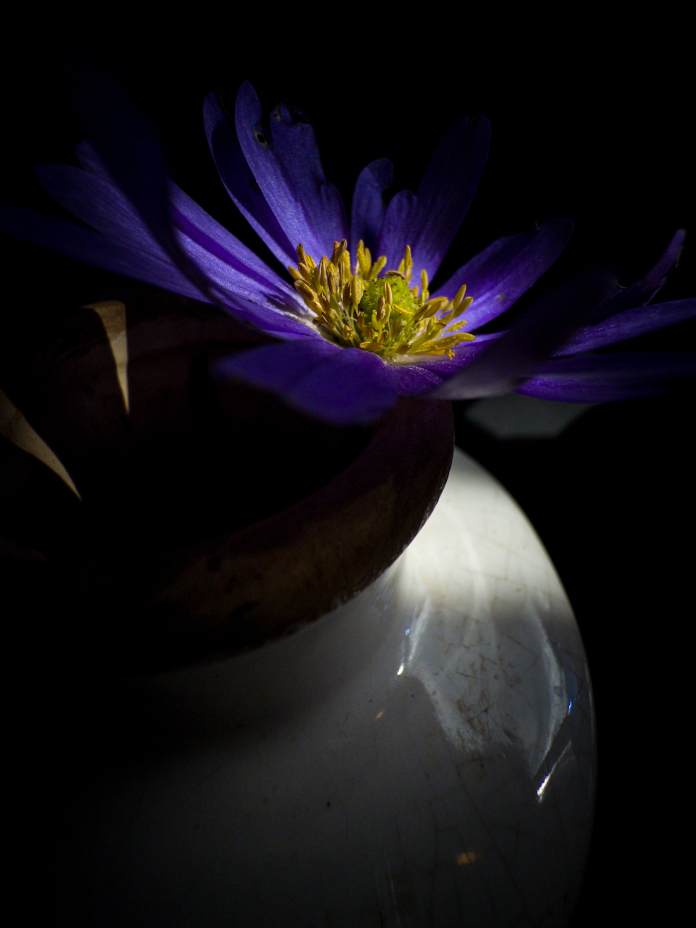 Close-up of a walnut in warm light and shadow with a softly blurred basket in the background.