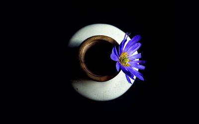 A Gentle Balance