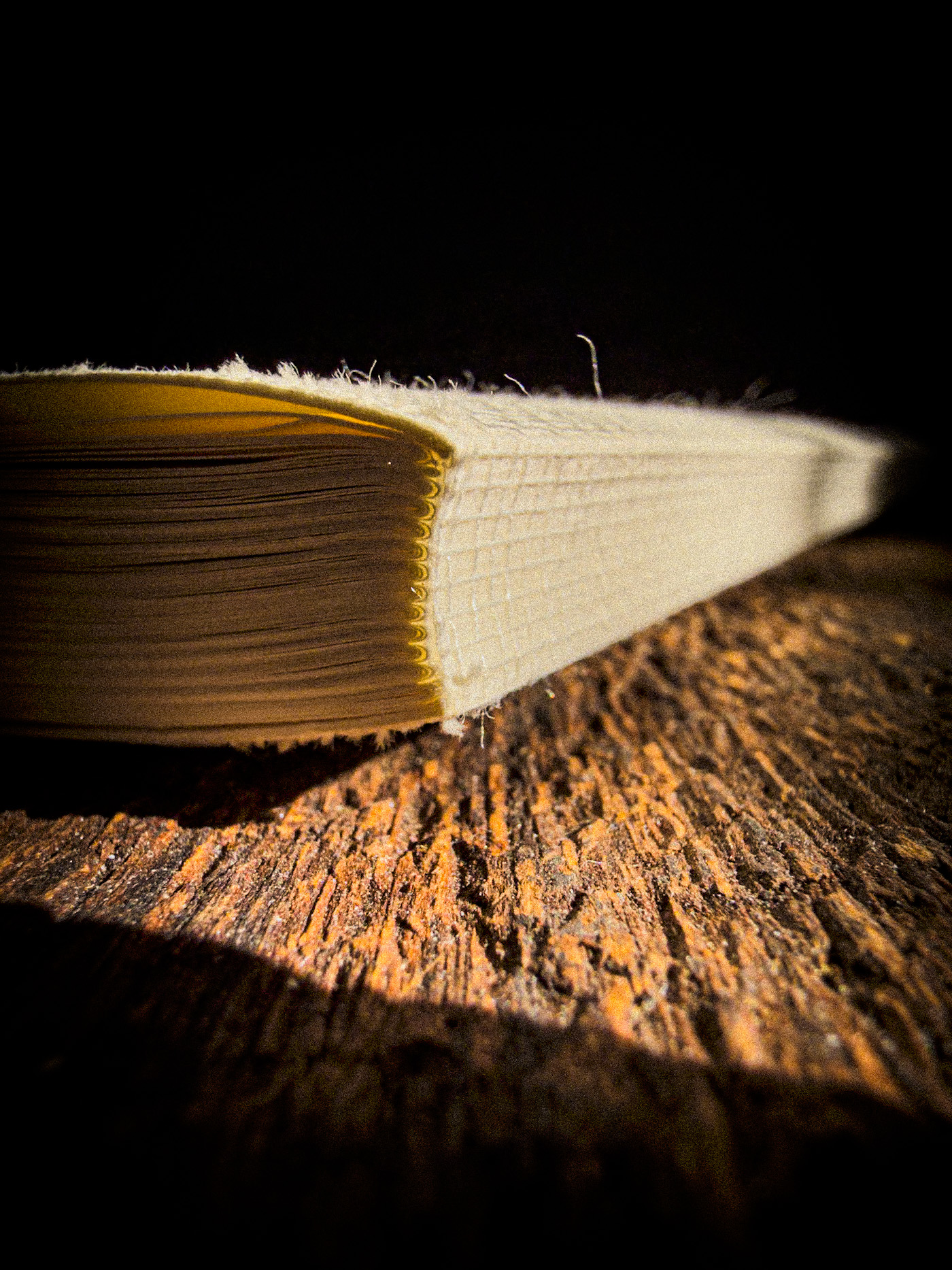 periwinkle-journal-closed-adri-spyker-1 Close-up of a walnut in warm light and shadow with a softly blurred basket in the background.