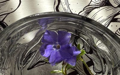 Periwinkle