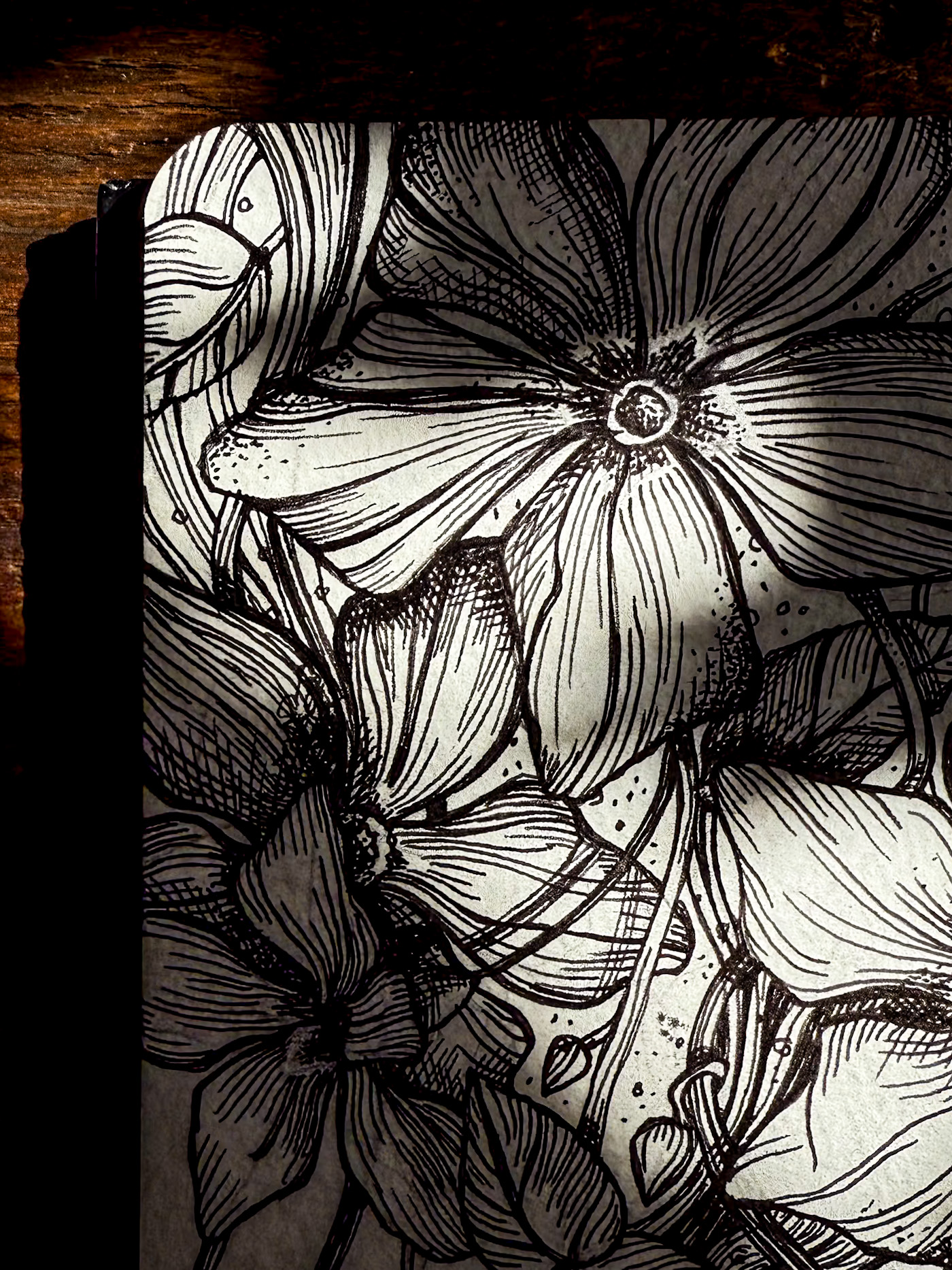 periwinkle-practice-sketchbook-adri-spyker-1 Close-up of a walnut in warm light and shadow with a softly blurred basket in the background.
